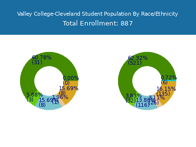 Valley College-Cleveland 2025 Student Population by Gender and Race chart