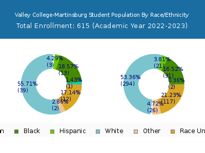 Valley College-Martinsburg 2023 Student Population by Gender and Race chart