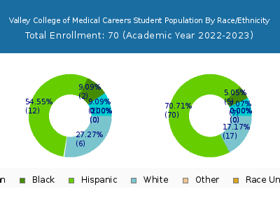 Valley College of Medical Careers 2023 Student Population by Gender and Race chart