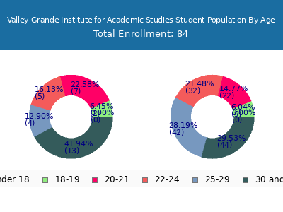 Valley Grande Institute for Academic Studies 2024 Student Population Age Diversity Pie chart
