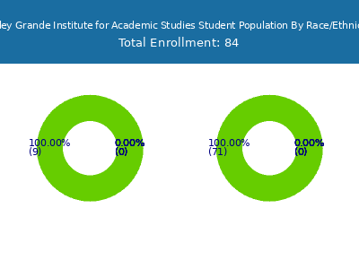 Valley Grande Institute for Academic Studies 2025 Student Population by Gender and Race chart