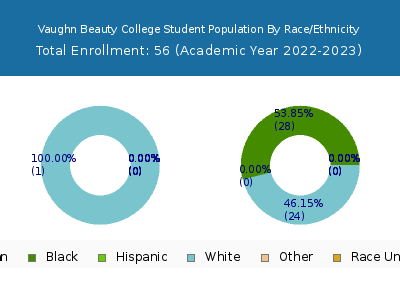 Vaughn Beauty College 2023 Student Population by Gender and Race chart