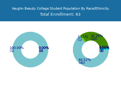 Vaughn Beauty College 2025 Student Population by Gender and Race chart