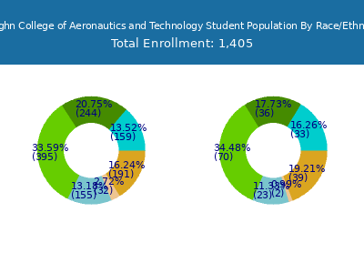 Vaughn College of Aeronautics and Technology 2025 Student Population by Gender and Race chart