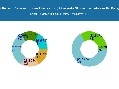 Vaughn College of Aeronautics and Technology 2025 Graduate Enrollment by Gender and Race chart