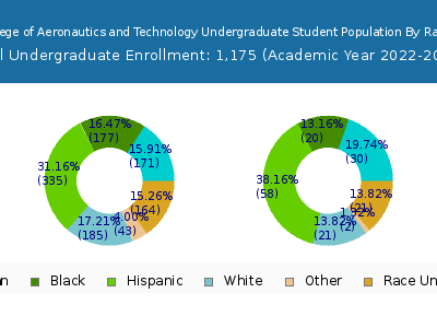 Vaughn College of Aeronautics and Technology 2023 Undergraduate Enrollment by Gender and Race chart