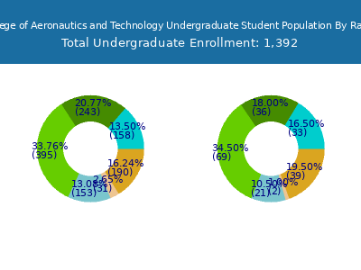 Vaughn College of Aeronautics and Technology 2025 Undergraduate Enrollment by Gender and Race chart