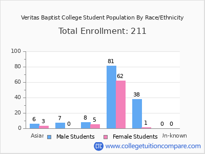 Veritas Baptist College 2025 Student Population by Gender and Race chart