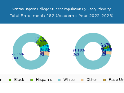 Veritas Baptist College 2023 Student Population by Gender and Race chart