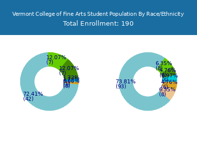 Vermont College of Fine Arts 2025 Student Population by Gender and Race chart