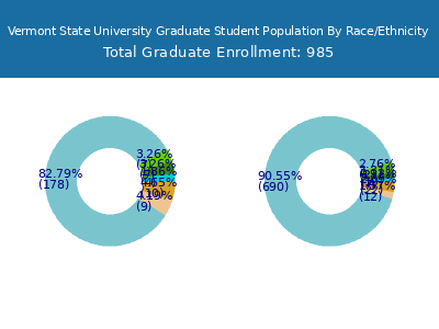 Vermont State University 2025 Graduate Enrollment by Gender and Race chart