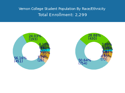 Vernon College 2025 Student Population by Gender and Race chart