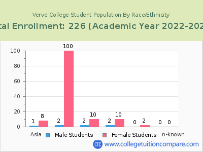 Verve College 2023 Student Population by Gender and Race chart