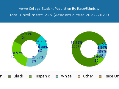 Verve College 2023 Student Population by Gender and Race chart