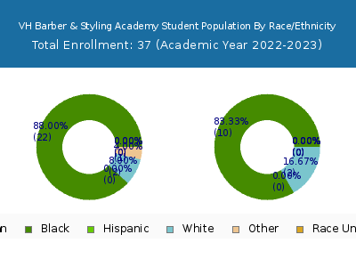VH Barber & Styling Academy 2023 Student Population by Gender and Race chart