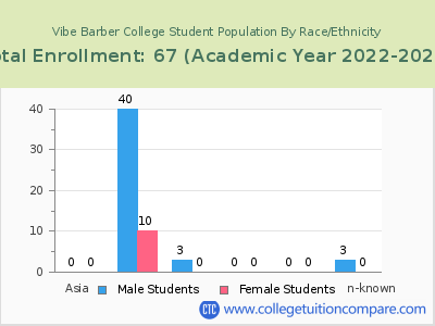 Vibe Barber College 2023 Student Population by Gender and Race chart