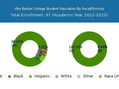 Vibe Barber College 2023 Student Population by Gender and Race chart