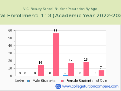 VICI Beauty School 2023 Student Population by Age chart
