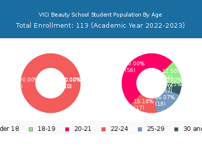 VICI Beauty School 2023 Student Population Age Diversity Pie chart