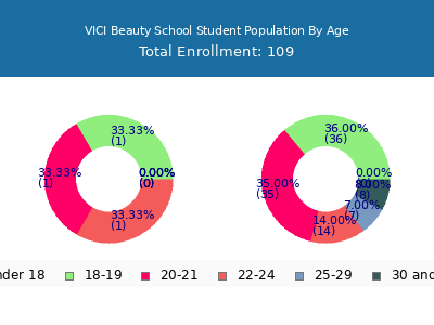 VICI Beauty School 2024 Student Population Age Diversity Pie chart