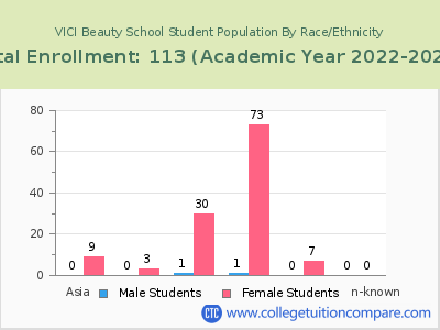 VICI Beauty School 2023 Student Population by Gender and Race chart