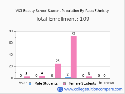 VICI Beauty School 2025 Student Population by Gender and Race chart
