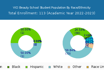 VICI Beauty School 2023 Student Population by Gender and Race chart