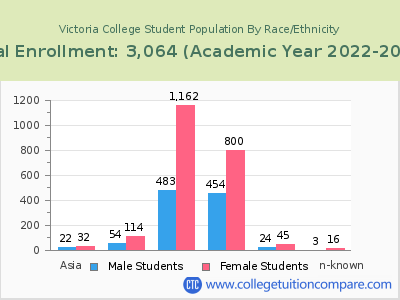 Victoria College 2023 Student Population by Gender and Race chart