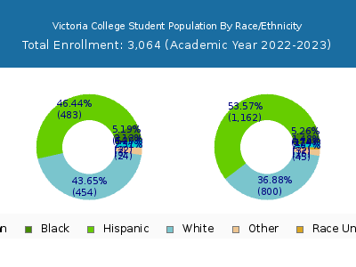Victoria College 2023 Student Population by Gender and Race chart