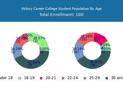Victory Career College 2024 Student Population Age Diversity Pie chart