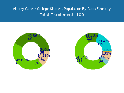 Victory Career College 2025 Student Population by Gender and Race chart