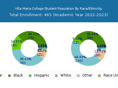 Villa Maria College 2023 Student Population by Gender and Race chart