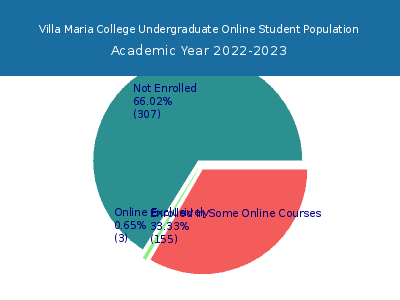 Villa Maria College 2023 Online Student Population chart