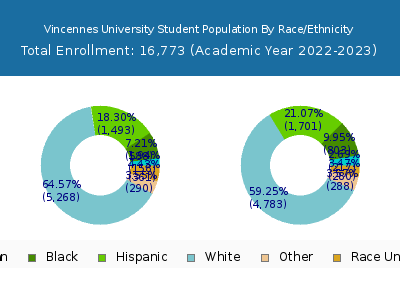 Vincennes University 2023 Student Population by Gender and Race chart