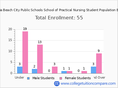 Virginia Beach City Public Schools School of Practical Nursing 2025 Student Population by Age chart