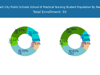 Virginia Beach City Public Schools School of Practical Nursing 2025 Student Population by Gender and Race chart