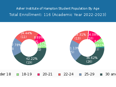 Asher Institute of Hampton 2023 Student Population Age Diversity Pie chart