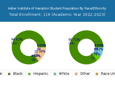 Asher Institute of Hampton 2023 Student Population by Gender and Race chart