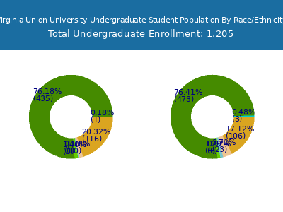 Virginia Union University 2025 Undergraduate Enrollment by Gender and Race chart