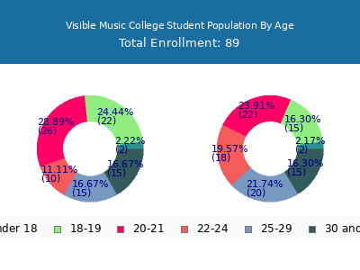 Visible Music College 2024 Student Population Age Diversity Pie chart