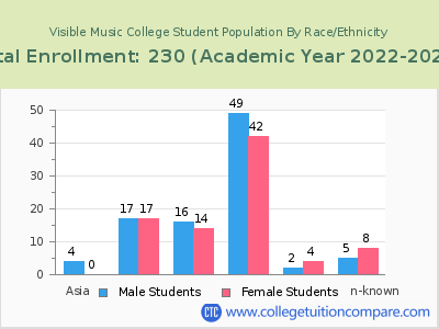 Visible Music College 2023 Student Population by Gender and Race chart