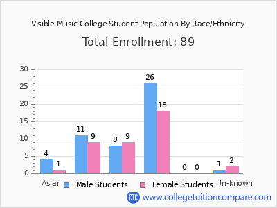 Visible Music College 2025 Student Population by Gender and Race chart