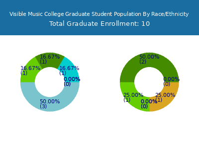 Visible Music College 2025 Graduate Enrollment by Gender and Race chart