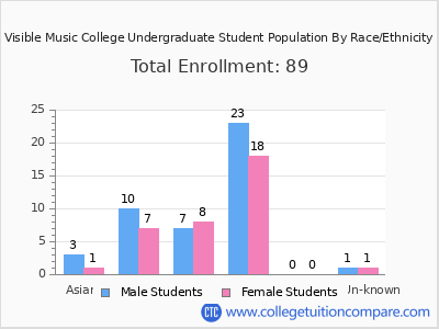 Visible Music College 2025 Undergraduate Enrollment by Gender and Race chart