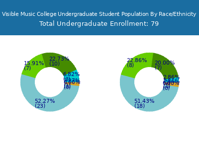 Visible Music College 2025 Undergraduate Enrollment by Gender and Race chart