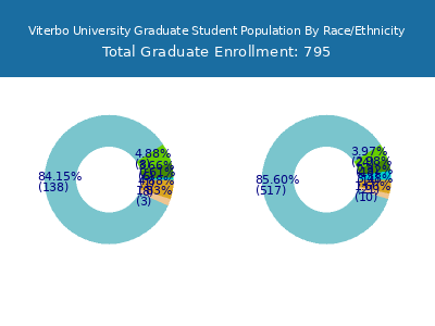 Viterbo University 2025 Graduate Enrollment by Gender and Race chart
