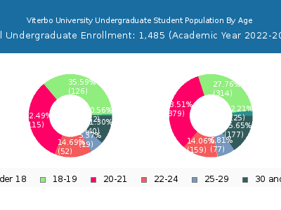 Viterbo University 2023 Undergraduate Enrollment Age Diversity Pie chart