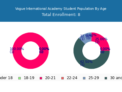 Vogue International Academy 2024 Student Population Age Diversity Pie chart