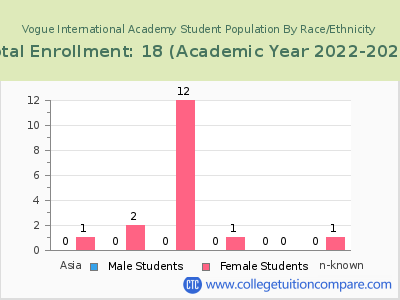 Vogue International Academy 2023 Student Population by Gender and Race chart