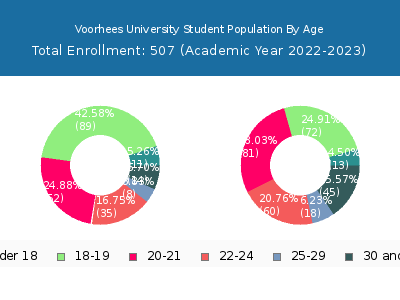 Voorhees University 2023 Student Population Age Diversity Pie chart